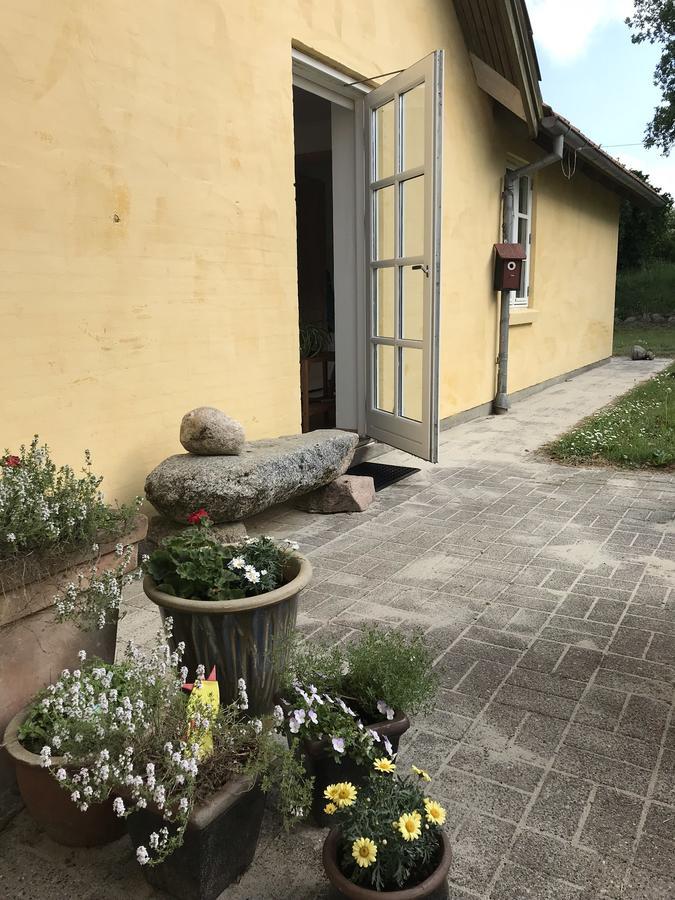 Tranum Lys Og Glas Brovst Экстерьер фото